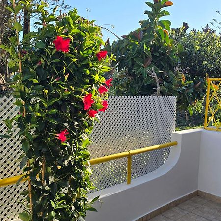 Apartamento Victoria Виламура Екстериор снимка